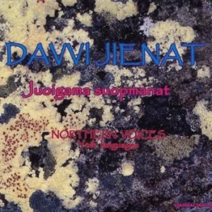 Various Artists - Davvi Jienat/Northern Voices in der Gruppe CD bei Bengans Skivbutik AB (1400490)