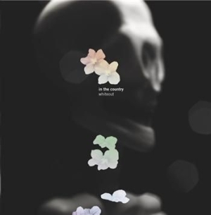 In The Country - Whiteout in der Gruppe CD bei Bengans Skivbutik AB (1475373)