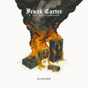 Carter Frank & The Rattlesnakes - Blossom in der Gruppe CD bei Bengans Skivbutik AB (1479086)