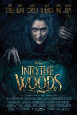 Into The Woods (2015) in der Gruppe Film DVD bei Bengans Skivbutik AB (1479465)
