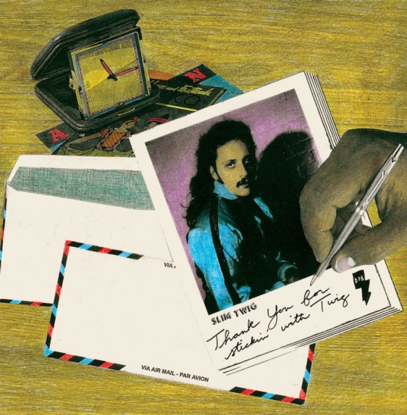Slim Twig - Thank You For Stickin' With Twig in der Gruppe CD / Dans/Techno bei Bengans Skivbutik AB (1480058)