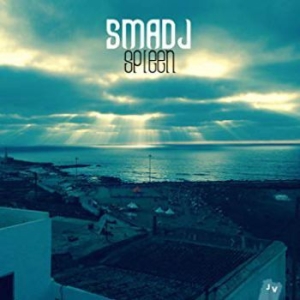 Smadj - Spleen in der Gruppe CD bei Bengans Skivbutik AB (1485097)