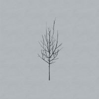 Low - Ones And Sixes in der Gruppe VINYL / Pop-Rock bei Bengans Skivbutik AB (1496565)