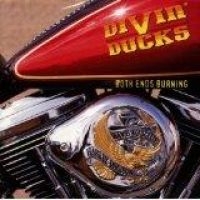 DIVIN DUCKS - BOTH ENDS BURNING in der Gruppe CD bei Bengans Skivbutik AB (1510711)