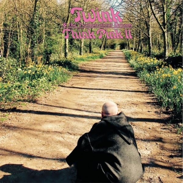 Twink - Think Pink Ii in der Gruppe CD / Bestseller bei Bengans Skivbutik AB (1511283)