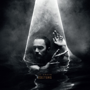 Editors - In Dream in der Gruppe VINYL bei Bengans Skivbutik AB (1515179)