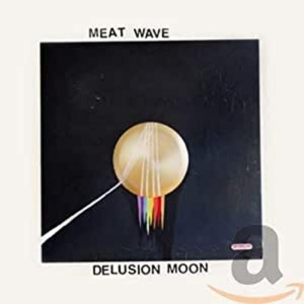 Meat Wave - Delusion Moon in der Gruppe CD / Bestseller bei Bengans Skivbutik AB (1516138)