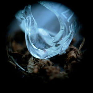 Ossicles - Mantelpiece in der Gruppe CD bei Bengans Skivbutik AB (1516461)