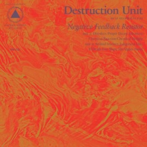 Destruction Unit - Negative Feedback Resistor in der Gruppe CD bei Bengans Skivbutik AB (1517093)
