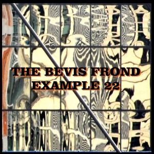 Bevis Frond - Example 22 in der Gruppe CD bei Bengans Skivbutik AB (1521233)