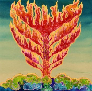 Hills - Frid in der Gruppe CD bei Bengans Skivbutik AB (1521240)