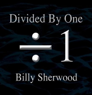 Sherwood Billy - Divided By One in der Gruppe CD bei Bengans Skivbutik AB (1521261)