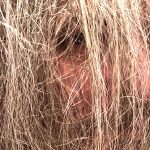 Luminous Bodies - Luminous Bodies in der Gruppe VINYL bei Bengans Skivbutik AB (1525622)