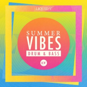 Various Artists - Summer Vibes: Drum & Bass - Mixed B in der Gruppe CD bei Bengans Skivbutik AB (1525657)