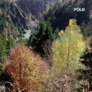 Pole - Wald in der Gruppe CD bei Bengans Skivbutik AB (1528684)