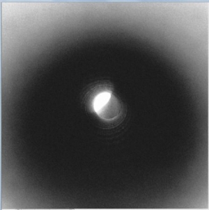 Emptyset - Emptyset in der Gruppe VINYL bei Bengans Skivbutik AB (1528761)