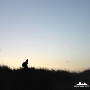 Dusty Kid - Not So Green Fields in der Gruppe CD bei Bengans Skivbutik AB (1528798)