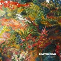Polynation - Allogamy in der Gruppe VINYL bei Bengans Skivbutik AB (1532924)