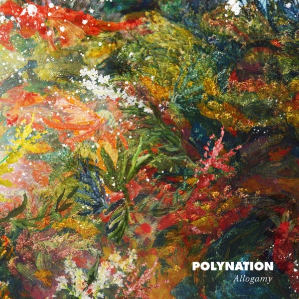 Polynation - Allogamy in der Gruppe VINYL / Rock bei Bengans Skivbutik AB (1532924)