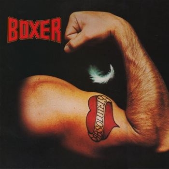 Boxer - Absolutely in der Gruppe CD / Rock bei Bengans Skivbutik AB (1539797)