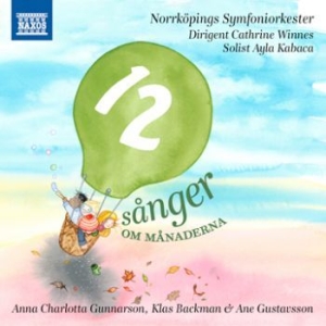 Norrköpings So - 12 Sånger Om Månaderna in der Gruppe CD bei Bengans Skivbutik AB (1541485)