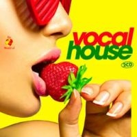 Vocal House - Various in der Gruppe CD / Pop-Rock bei Bengans Skivbutik AB (1546097)