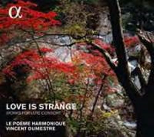 Various - Love Is Strange - Works For Lute Co in der Gruppe CD / Bestseller bei Bengans Skivbutik AB (1551610)