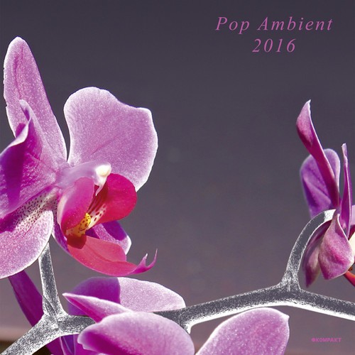 Blandade Artister - Pop Ambient 2016 (Inkl.Cd) in der Gruppe VINYL / Dans/Techno bei Bengans Skivbutik AB (1551737)