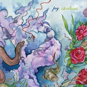 Joy - Shallows in der Gruppe CD bei Bengans Skivbutik AB (1554293)