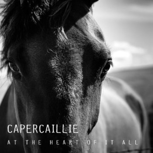 Capercaillie - At The Heart Of It All in der Gruppe CD / Worldmusic/ Folkmusik bei Bengans Skivbutik AB (1554504)