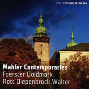 Foerster / Goldmark / Rott - Mahler Contemporaries in der Gruppe CD bei Bengans Skivbutik AB (1555171)