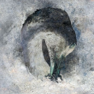 Suma - Ashes in der Gruppe CD bei Bengans Skivbutik AB (1702365)
