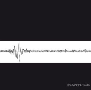 Baumann/Koek - Baumann/Koek in der Gruppe CD bei Bengans Skivbutik AB (1707917)