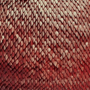Kill The Vultures - Carnelian in der Gruppe CD bei Bengans Skivbutik AB (1710883)
