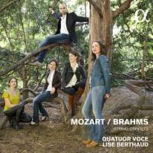 Brahms Johannes / Mozart W A - String Quintets in der Gruppe CD bei Bengans Skivbutik AB (1712664)