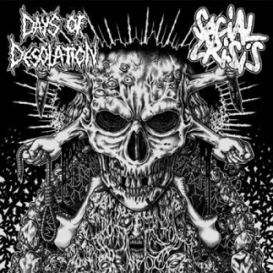Social Crisis / Days Of Desolation - Split in der Gruppe VINYL bei Bengans Skivbutik AB (1712745)