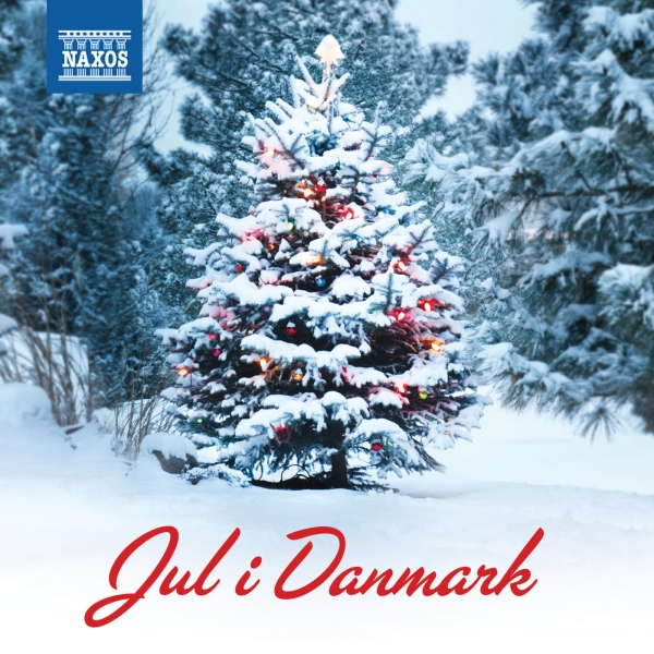Various - Jul I Danmark in der Gruppe CD bei Bengans Skivbutik AB (1713014)