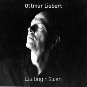 Liebert Ottmar - Waiting N Swan in der Gruppe CD bei Bengans Skivbutik AB (1713232)
