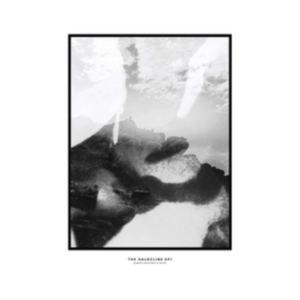 Hippo Campus - Halocline Eps in der Gruppe CD bei Bengans Skivbutik AB (1713355)