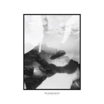 Hippo Campus - Halocline Eps in der Gruppe CD / Bestseller bei Bengans Skivbutik AB (1713355)
