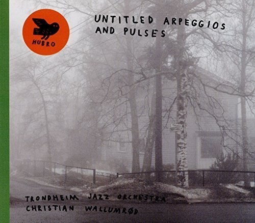 Trondheim Jazz Orchestra And Christ - Untitled Arpeggios And Pulse in der Gruppe CD / Jazz/Blues bei Bengans Skivbutik AB (1713357)