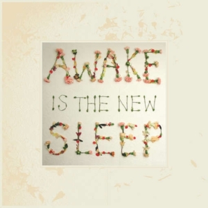 Lee Ben - Awake Is The New Sleep in der Gruppe VINYL bei Bengans Skivbutik AB (1721211)