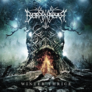 Borknagar - Winter Thrice in der Gruppe CD / Hårdrock/ Heavy metal bei Bengans Skivbutik AB (1723623)