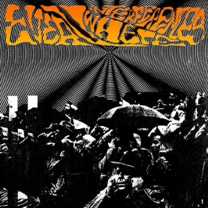 Various Artists - Everywhere Interferences in der Gruppe CD bei Bengans Skivbutik AB (1723740)
