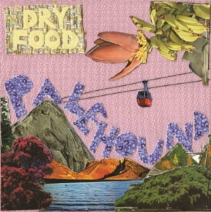 Palehound - Dry Food in der Gruppe VINYL bei Bengans Skivbutik AB (1729718)