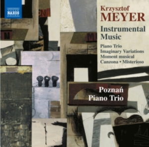 Meyer Krzysztof - Instrumental Music in der Gruppe CD bei Bengans Skivbutik AB (1735007)
