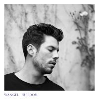 Wangel - Freedom in der Gruppe VINYL bei Bengans Skivbutik AB (1735352)