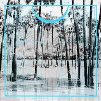 FOUR TET - PINK in der Gruppe CRM - Experimentell elektronisk musik bei Bengans Skivbutik AB (1735586)