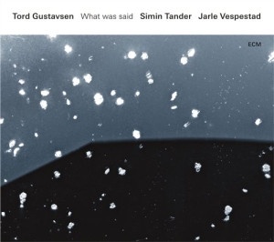 Tord Gustavsensimin Tander Jarle - What Was Said in der Gruppe UNSERE TIPPS / Klassiska lablar / ECM Records bei Bengans Skivbutik AB (1737257)