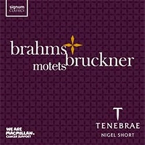 Brahms / Bruckner - Motets in der Gruppe CD bei Bengans Skivbutik AB (1740164)